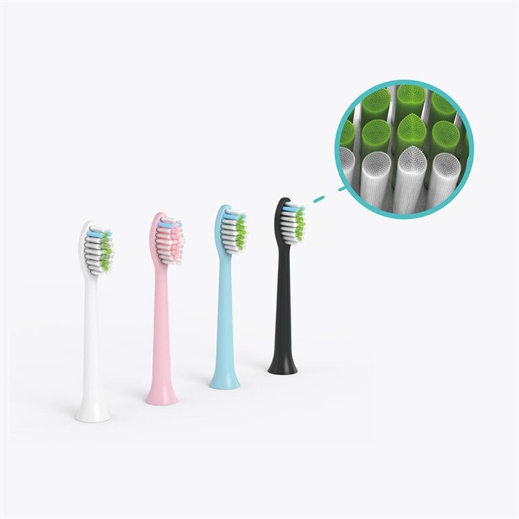 Replacement Sonic Toothbrush Head